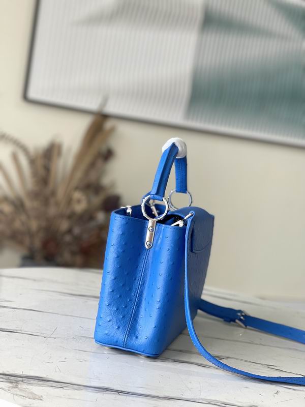 Capucines M95393绿 蓝色鸵鸟27x21x10cm gf (3)