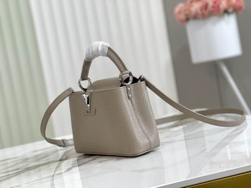 Capucines Mini N98093蜥蜴纹21x14x8cm gf (2)