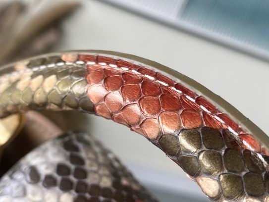 Capucines N80931 21x14x8cm gf (16)