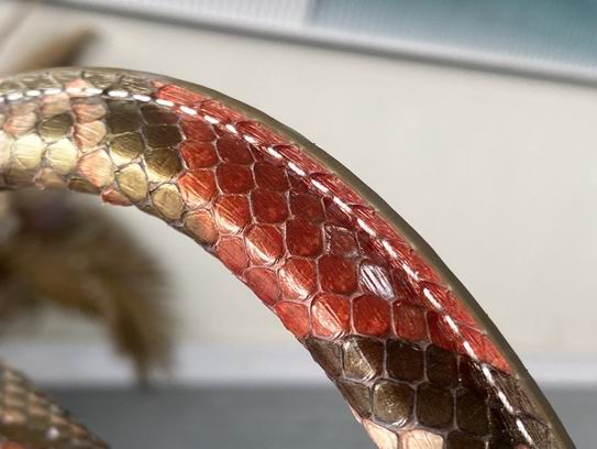 Capucines N80931 27x18x9cm gf (14)