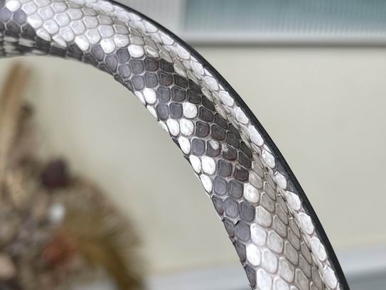 Capucines N92040金扣蛇36x23x14cm gf (6)