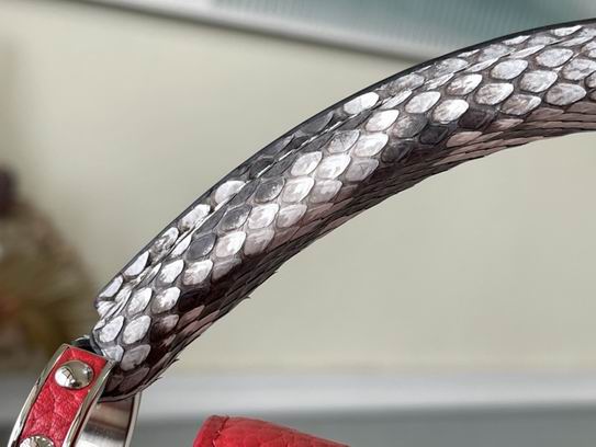 Capucines N92040银扣蛇31.5x20x11cm gf (14)