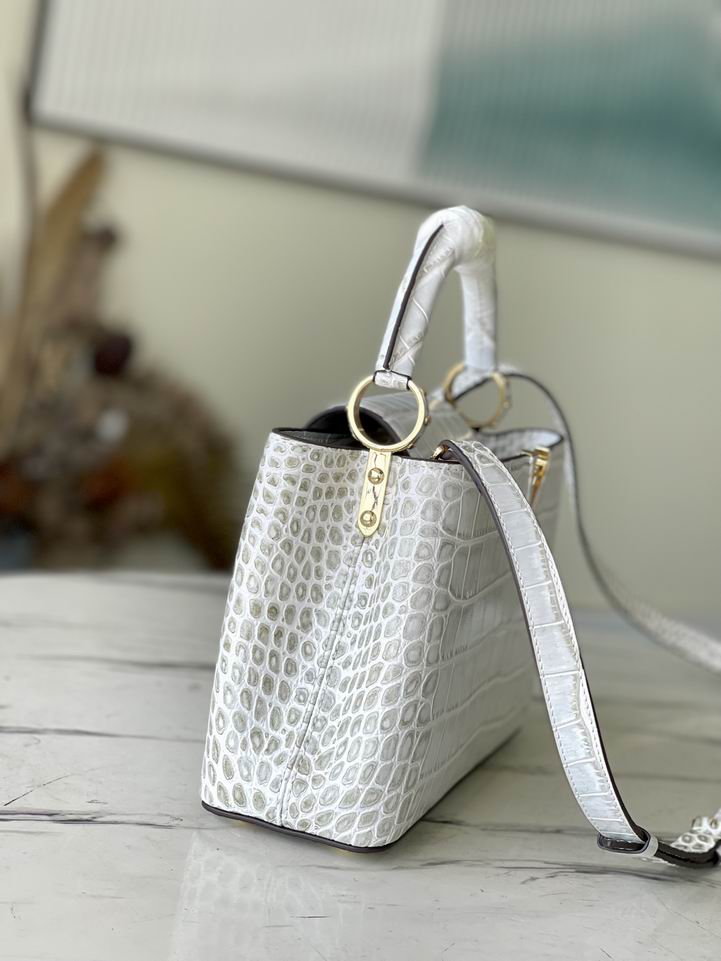 Capucines N93163复古尼罗鳄鱼 27x18x9cm gf (3)