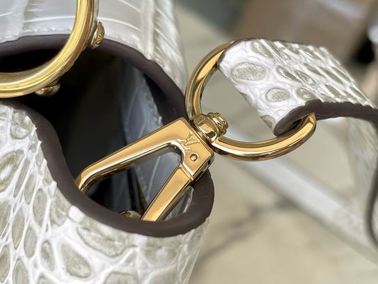 Capucines N93163复古尼罗鳄鱼 27x18x9cm gf (8)