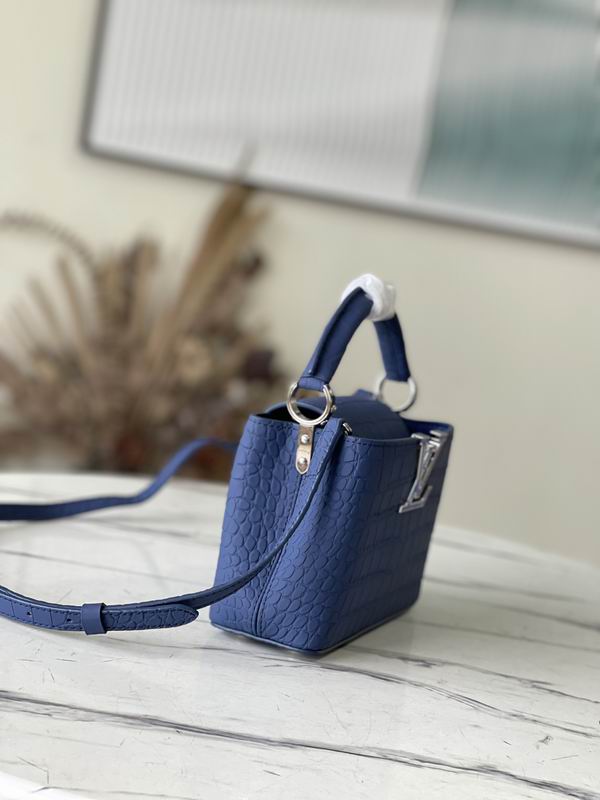 Capucines N93163雾蓝鳄鱼纹21x14x8cm gf (2)