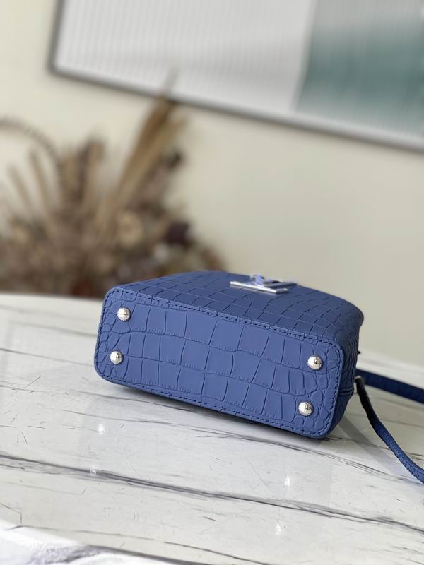 Capucines N93163雾蓝鳄鱼纹21x14x8cm gf (3)