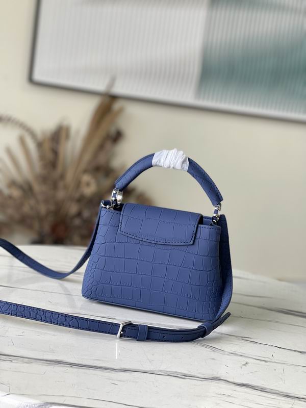 Capucines N93163雾蓝鳄鱼纹21x14x8cm gf (4)