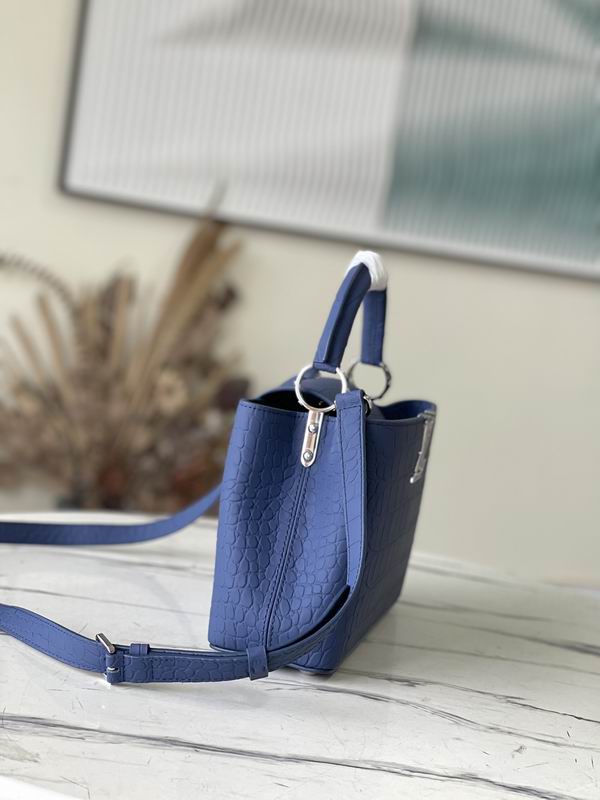 Capucines N93163雾蓝鳄鱼纹27x18x9cm gf (2)