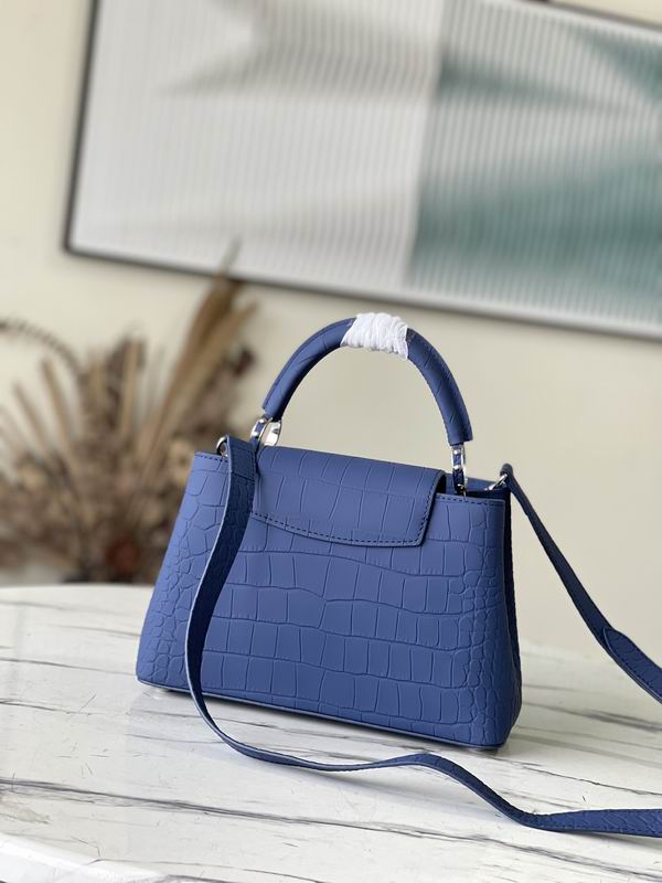 Capucines N93163雾蓝鳄鱼纹27x18x9cm gf (4)