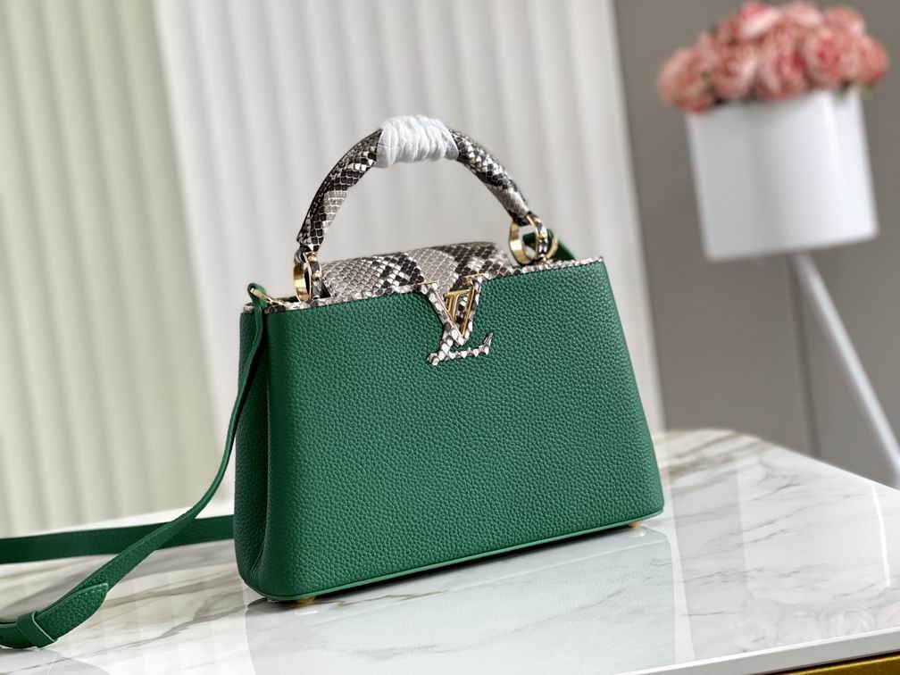 Capucines N93788 M48865 27x18x9cm gf (1)