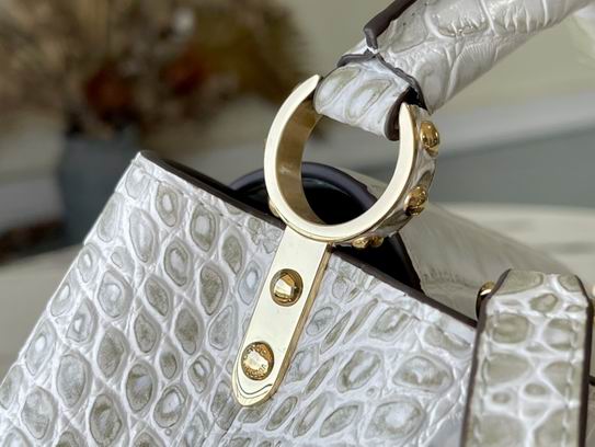 Capucines N94227复古尼罗鳄鱼 21x14x8cm gf (5)