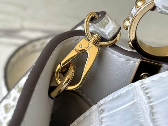 Capucines N94227复古尼罗鳄鱼 21x14x8cm gf (8)