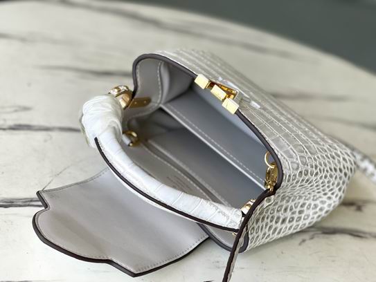 Capucines N94227复古尼罗鳄鱼 21x14x8cm gf (9)