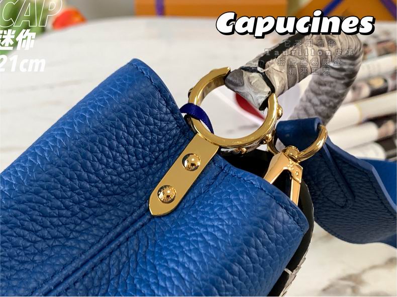 Capucines N95509 21x14x8 cm gf (6)