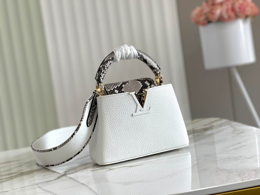 Capucines N97400 M48865 21x14x8cm gf (1)