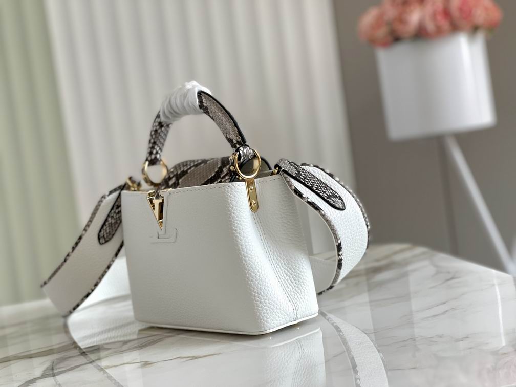 Capucines N97400 M48865 21x14x8cm gf (2)