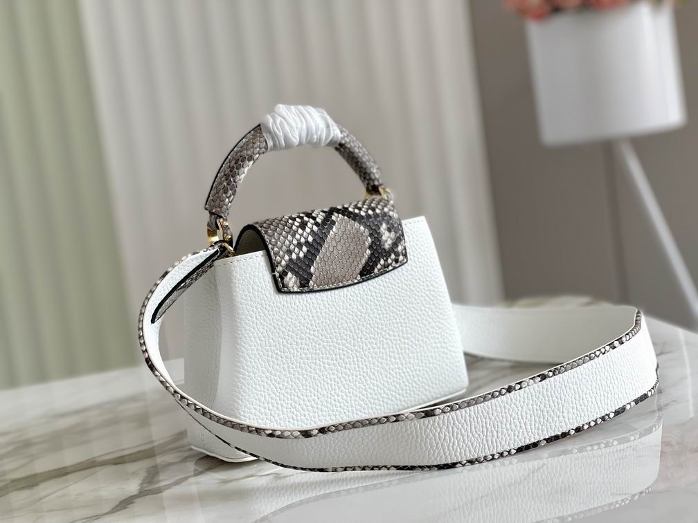 Capucines N97400 M48865 21x14x8cm gf (3)