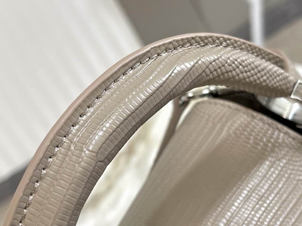 CapucinesBB N98093蜥蜴纹27x18x9cm gf (5)