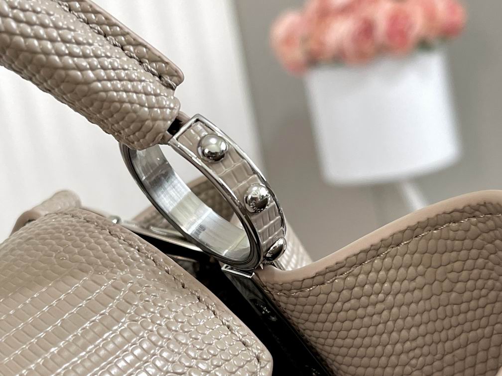 CapucinesBB N98093蜥蜴纹27x18x9cm gf (6)