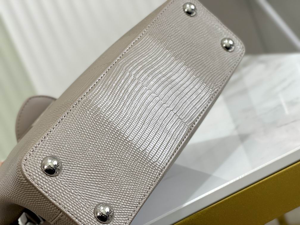 CapucinesBB N98093蜥蜴纹27x18x9cm gf (8)