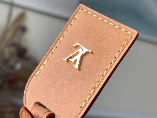 CarryAll M46197 M39x30x15cm gf (6)