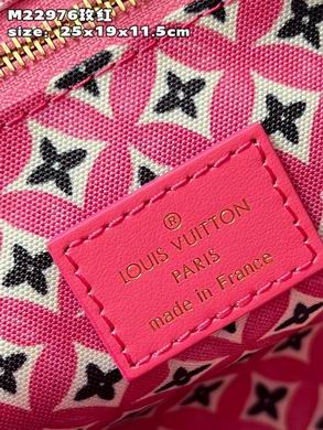 M22976 25X19X11.5cm DN 3colour (24)