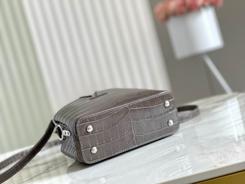 N94227 M48865深灰鳄鱼纹21x14x8cm gf (4)