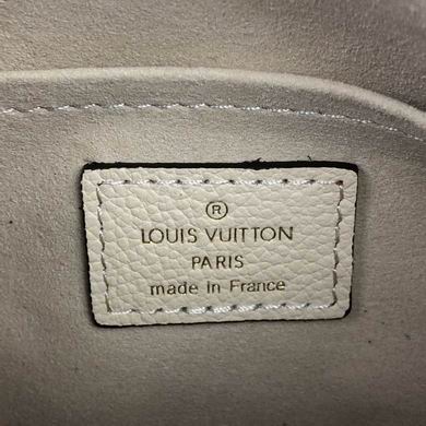 Papillon M45708 20x10x10 gf2色 (17)