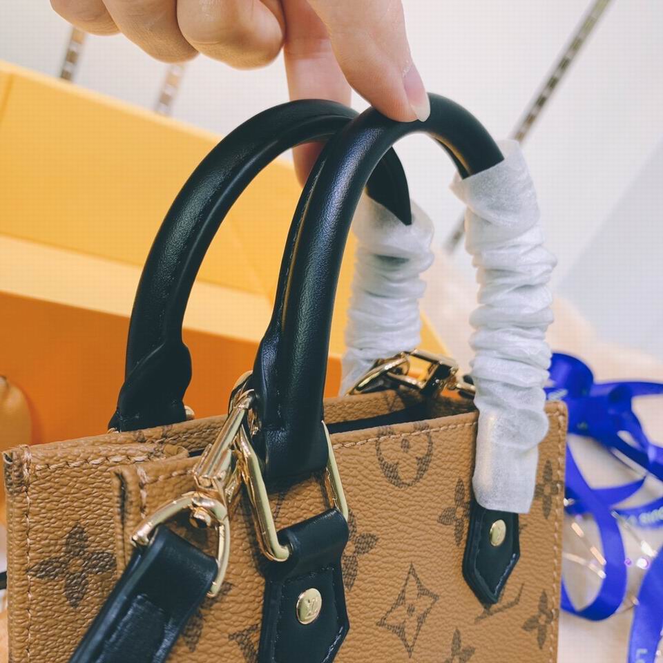 Petit Sac Plat M69846 ss (19)