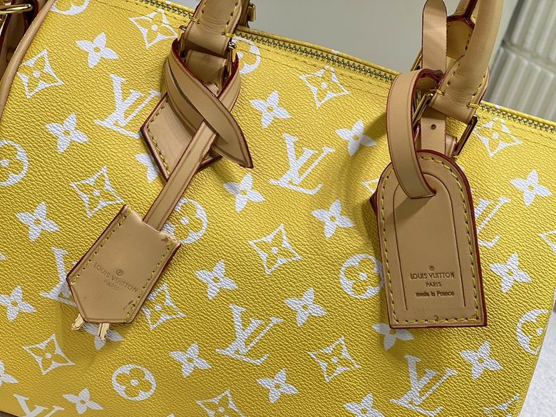 Speedy M24424 25x19x15cm ss (14)