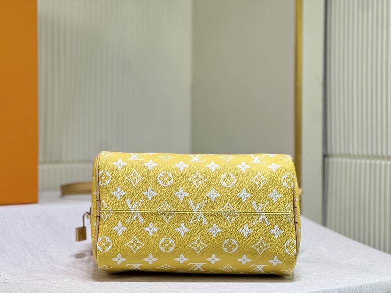 Speedy M24424 25x19x15cm ss (17)