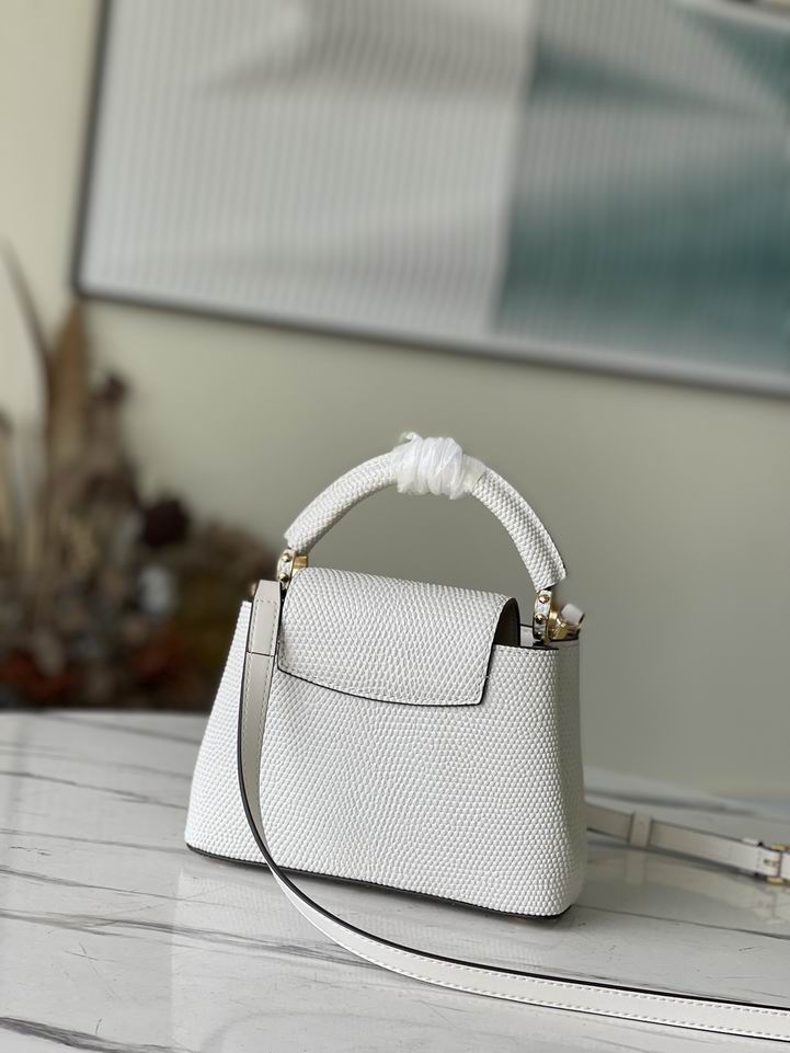 mini Capucines白M48865 21x14x8cm gf (2)