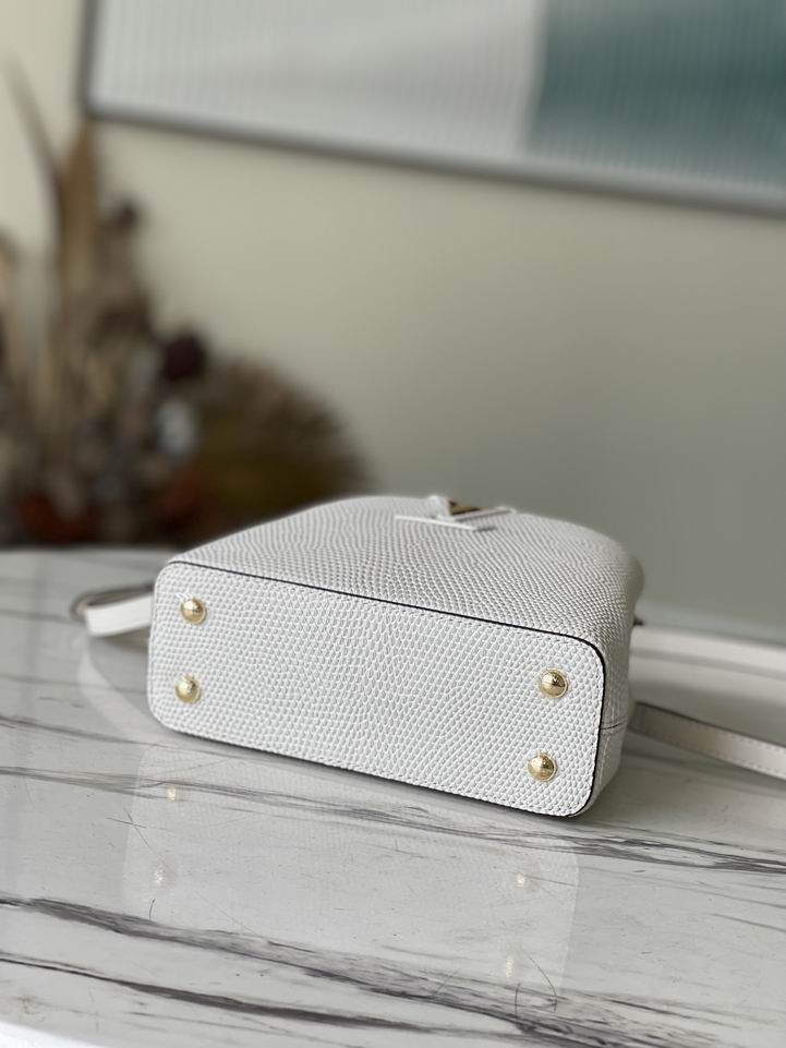 mini Capucines白M48865 21x14x8cm gf (3)