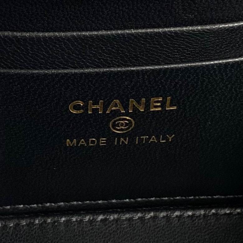 AP4046 17cm BL 3色 26