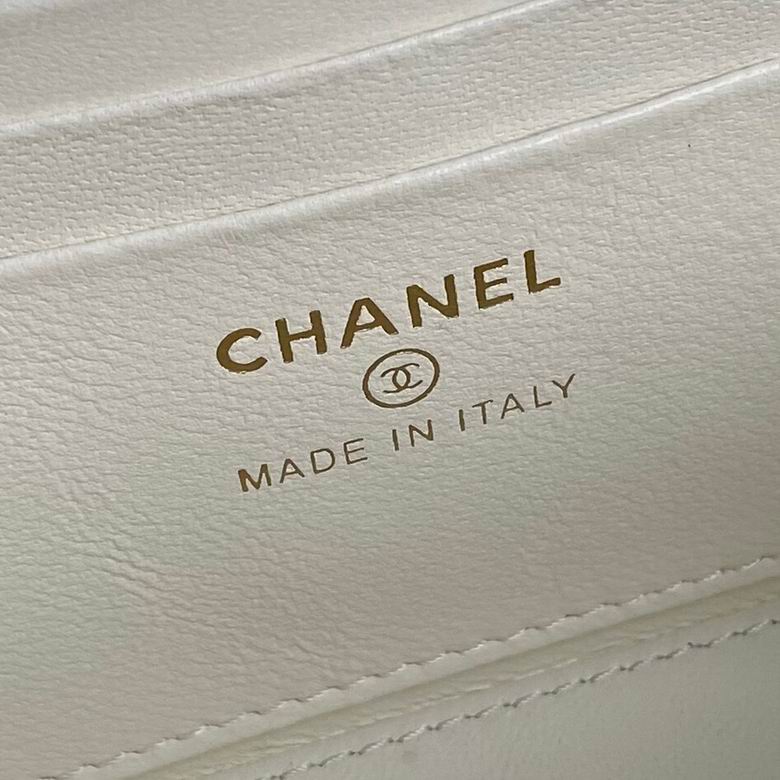 AP4046 17cm BL 3色 8