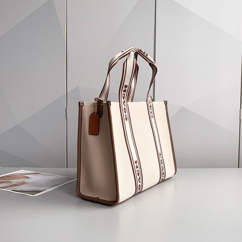 CS617 34X25X12cm AZ 2