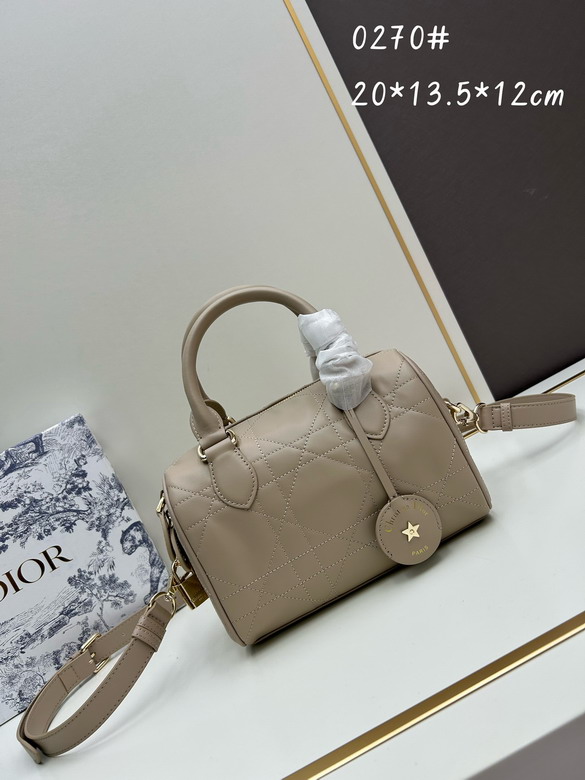 Dior 0270 20x13 5x12cm jj1_1