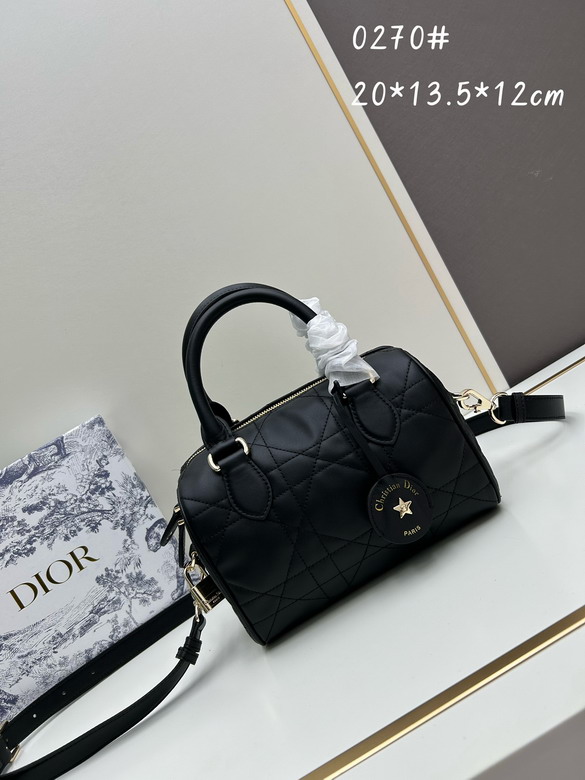 Dior 0270 20x13 5x12cm jj_1