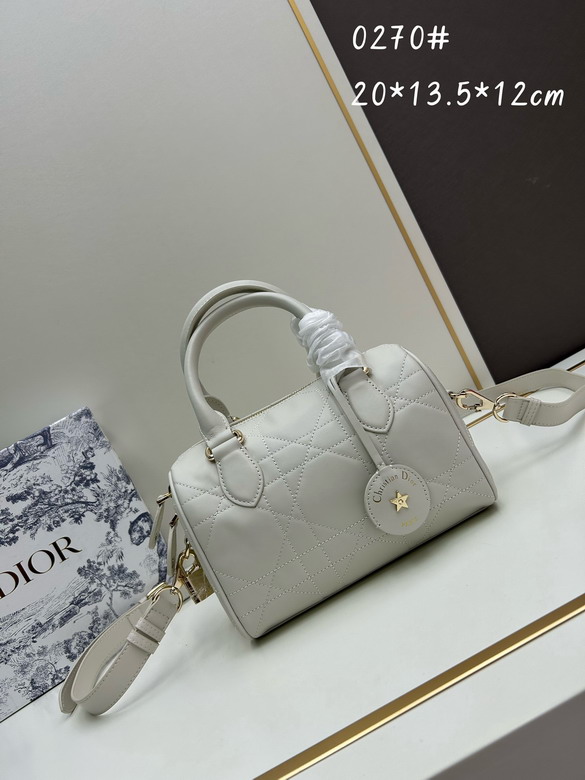 Dior 0270 20x13 5x12cm jj2_1
