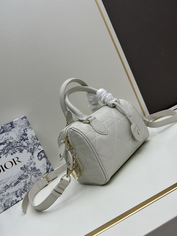 Dior 0270 20x13 5x12cm jj2_2