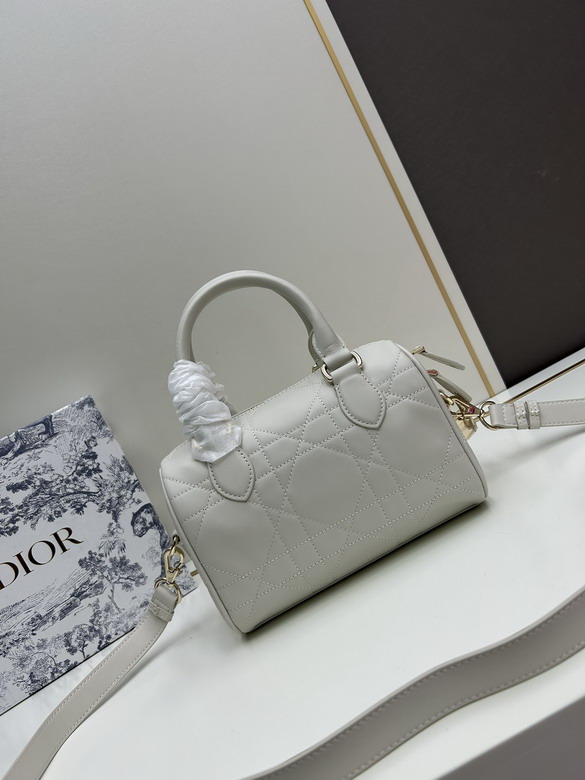 Dior 0270 20x13 5x12cm jj2_3