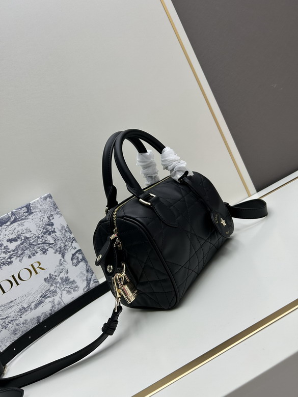 Dior 0270 20x13 5x12cm jj_2