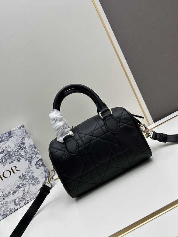 Dior 0270 20x13 5x12cm jj_3