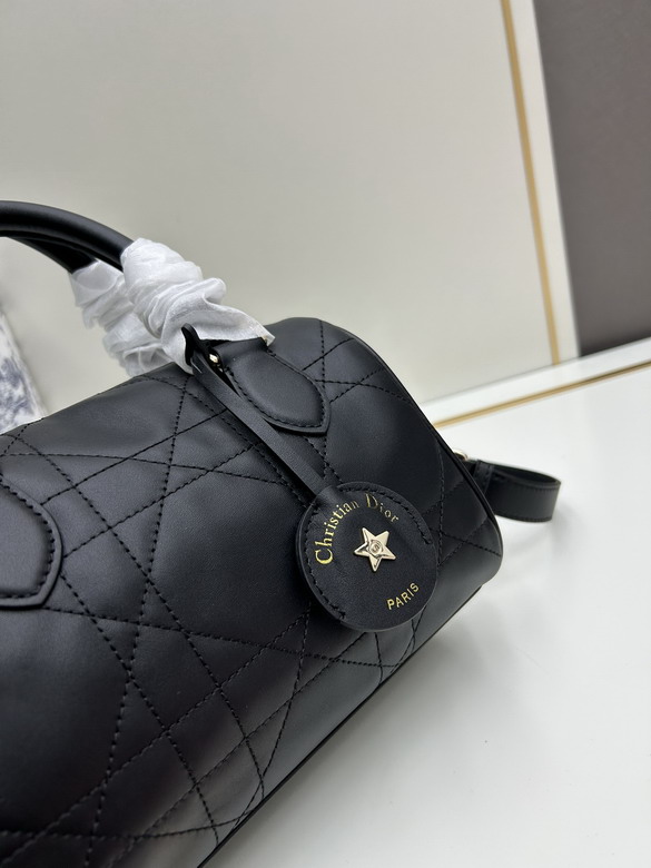 Dior 0270 20x13 5x12cm jj_4