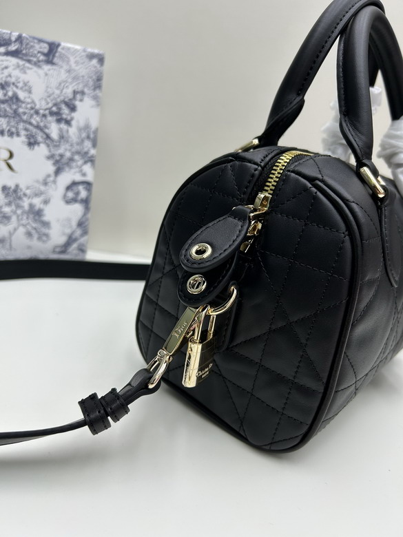Dior 0270 20x13 5x12cm jj_6