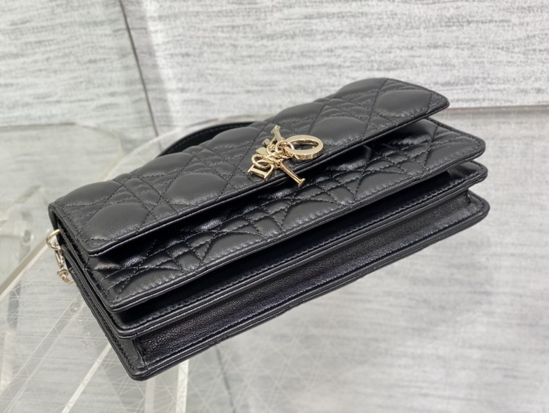 Dior 0604 21x11x5cm wo8_7