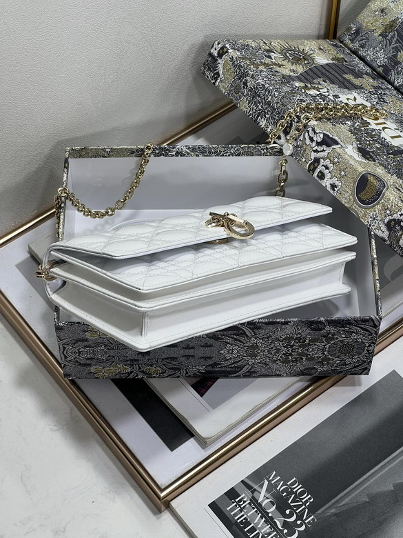 Dior lady 0604 21cm wo2_7