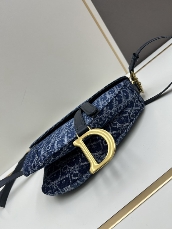 Dior saddle 0446 25 5x20x6 5cm jj_5