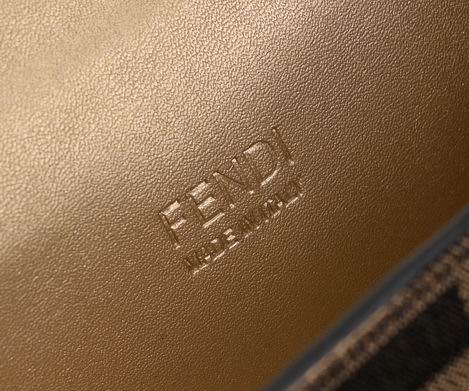Fendi Cookie 7738 22x17x4.5cm ww (9)