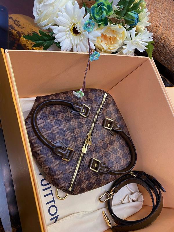 Speedy N41368咖啡格25x19x15cm gf (2)